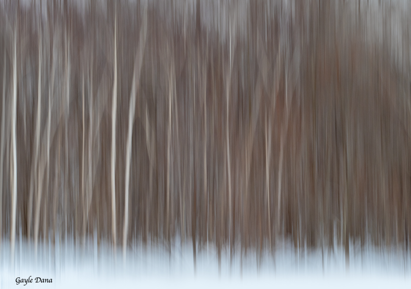 Tree blur